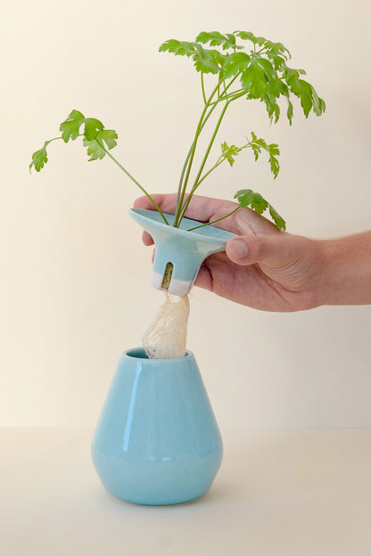 The Vase - Grow kit