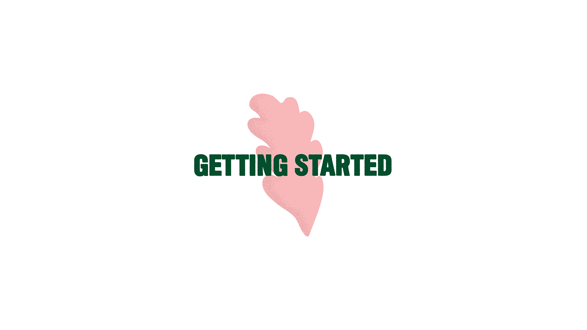 Load video: Getting Started - Jayd Grow Kit