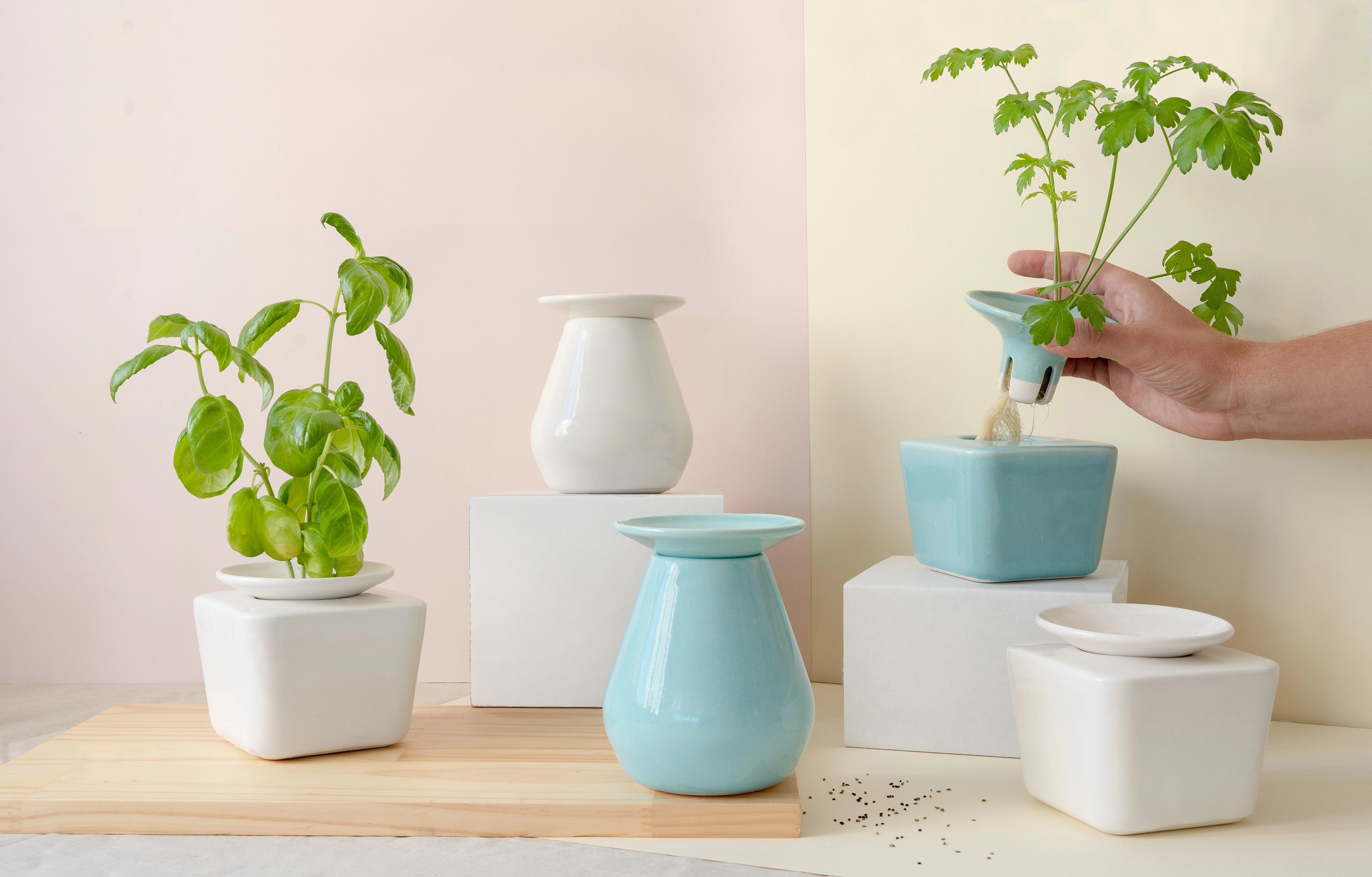 Sill pot range, showing all color and shape options 